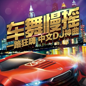 [无损] 销魂中文DJ慢摇【灵魂出窍】震撼车载中文嗨曲金典大碟下载